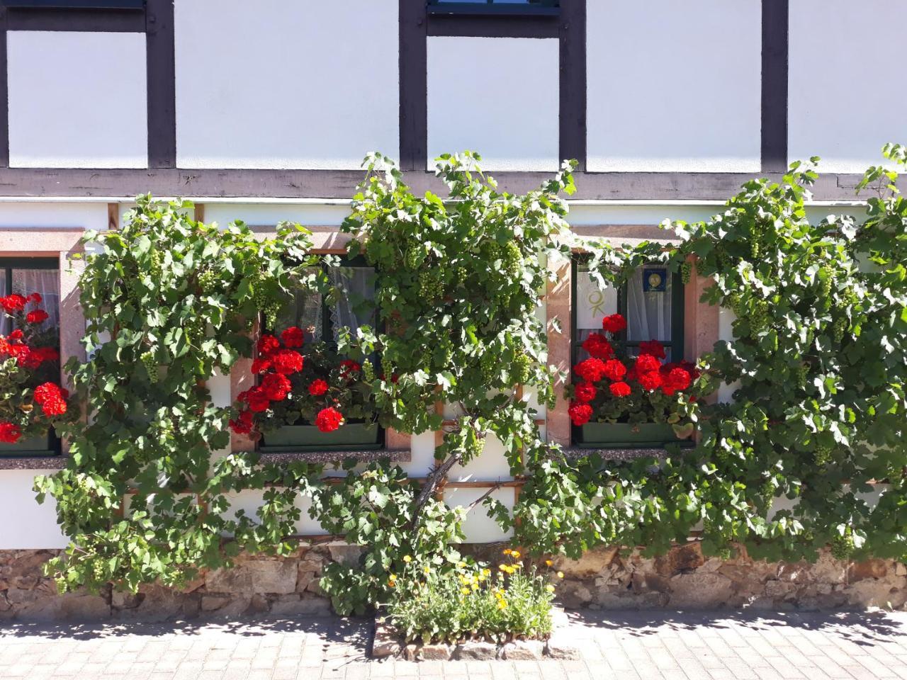 Balancehaus Kohren-Sahlis, Dein Kurhaus In Sachsen Hotel Eksteriør billede